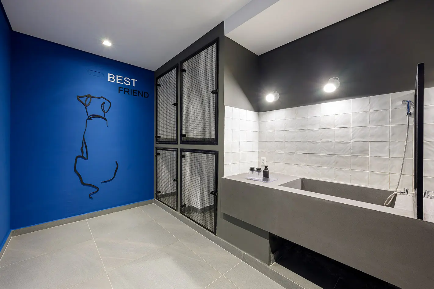 Pet Care Modern Campo Belo